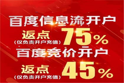 百度竞价SEM案例研究：提升转化率的关键策略